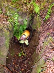 Entering the cave
