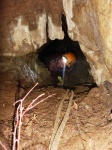 Digging