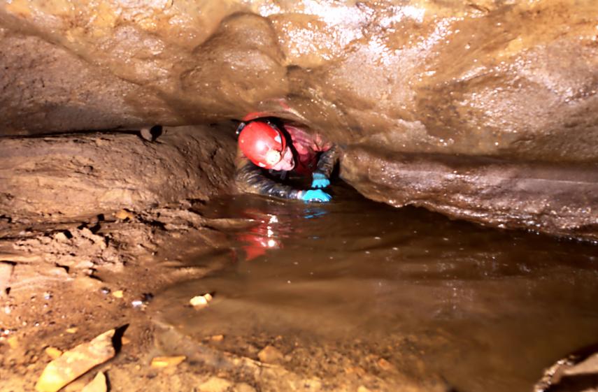 20170701-111143.jpg - Wet crawl