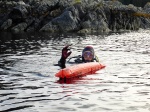 Ian surfacing