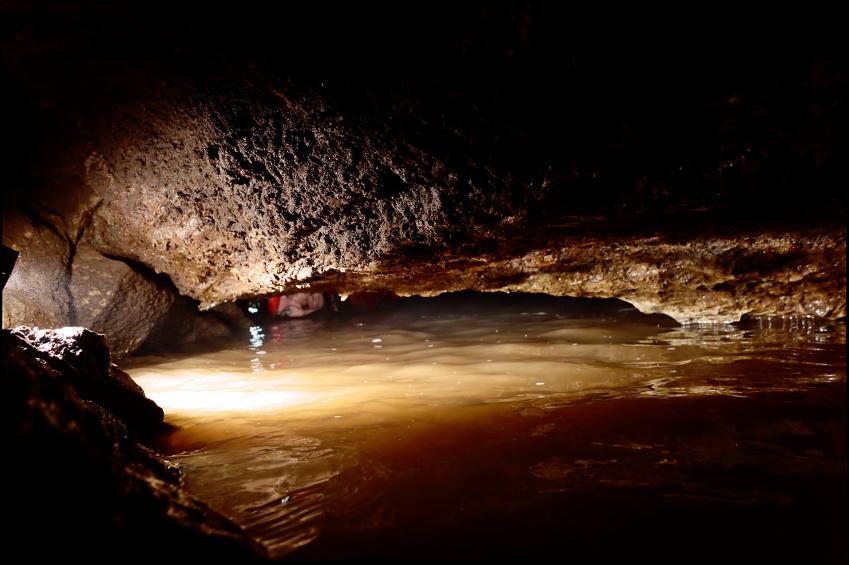 20171028-175349.jpg - Looking back through the duck