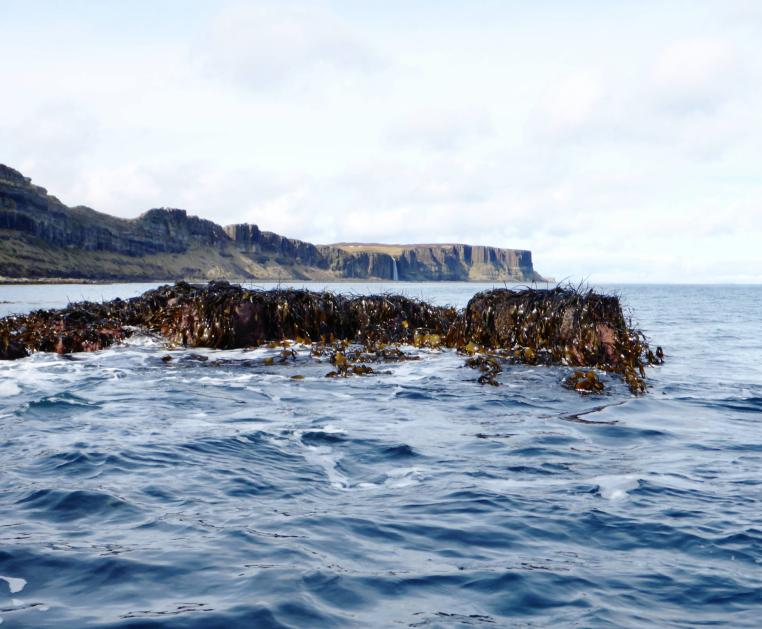 20190321-122404.jpg - Valtos Rocks