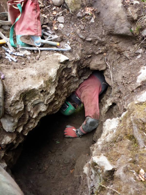 20190421-155922.jpg - Toby digging