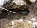 Gwen attempting to enter the cave