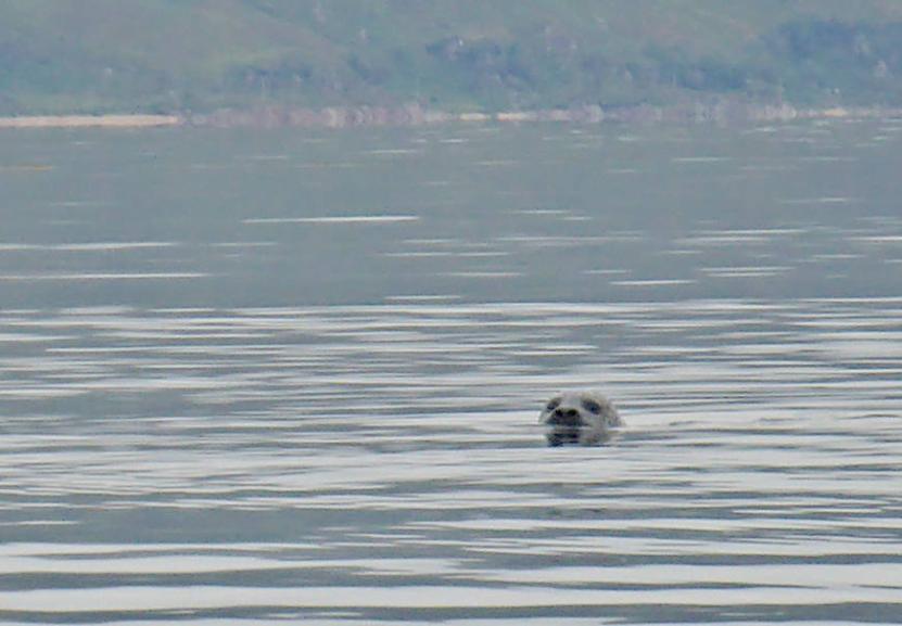 20190908-121519.jpg - Seal