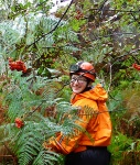 Lucy making slow progress through the island's vegetation