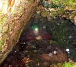 In the cave