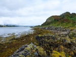 West coast of Eilean Dubh