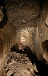Alice in Charolais Chamber