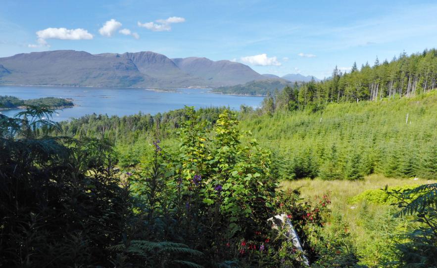 20200809-145353.jpg - View across the loch to Applecross