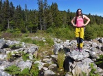 At the Iron Age hill-fort