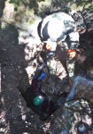 Toby in the hole