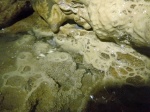 Gour pools